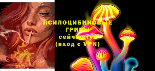 кокс Баксан