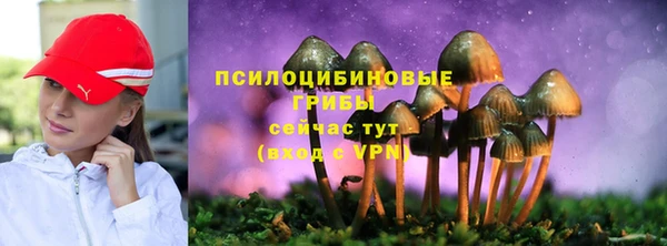 кокс Баксан